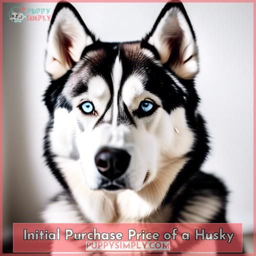 Initial Purchase Price of a Husky