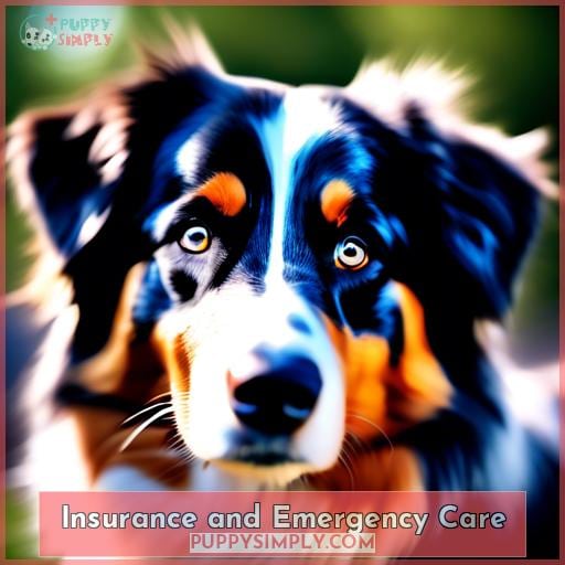 Insurance and Emergency Care
