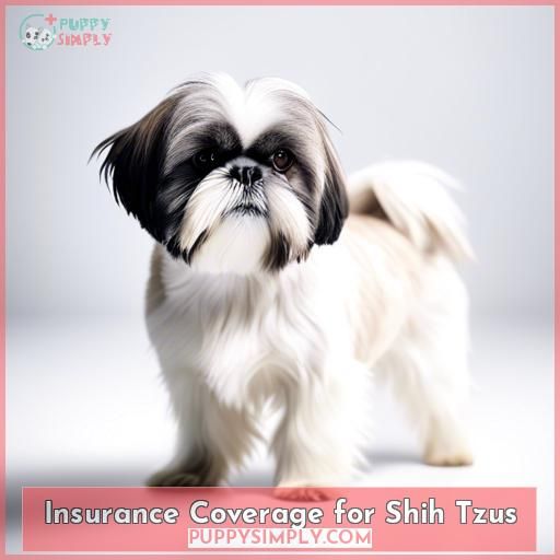 Insurance Coverage for Shih Tzus