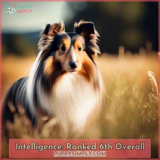 Intelligence: Ranked 6th Overall