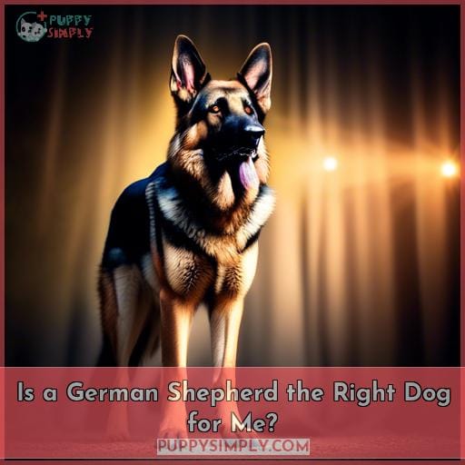 Is a German Shepherd the Right Dog for Me
