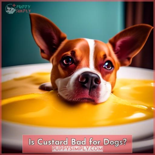 Is Custard Bad for Dogs