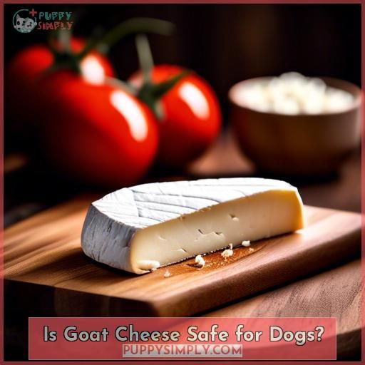 Is Goat Cheese Safe for Dogs