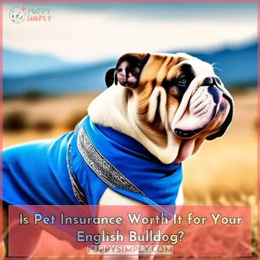 Is Pet Insurance Worth It for Your English Bulldog