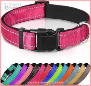 Joytale Reflective Dog Collar,Soft Neoprene