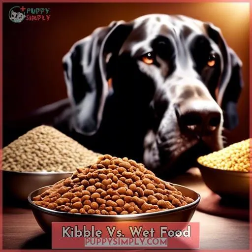 Kibble Vs. Wet Food