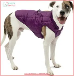 Kurgo Loft Reversible Insulated Dog