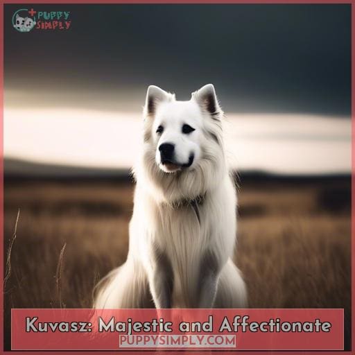 Kuvasz: Majestic and Affectionate