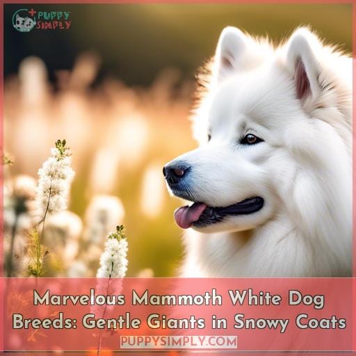 large white dog breeds