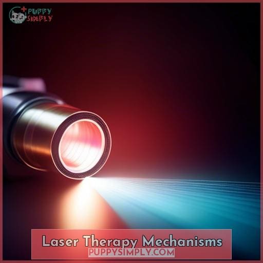 Laser Therapy Mechanisms