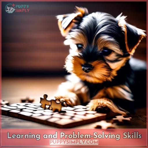 Learning and Problem-Solving Skills