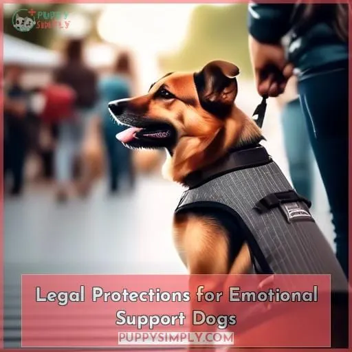 Legal Protections for Emotional Support Dogs