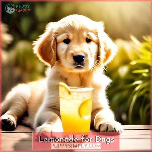 Lemonade for Dogs