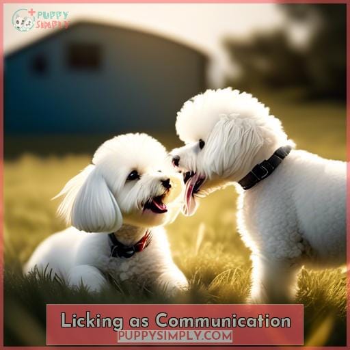 Licking as Communication