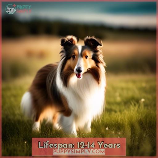 Lifespan: 12-14 Years