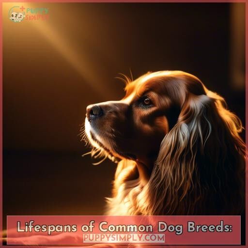 Lifespans of Common Dog Breeds: Lifespans of Common Dog Breeds: