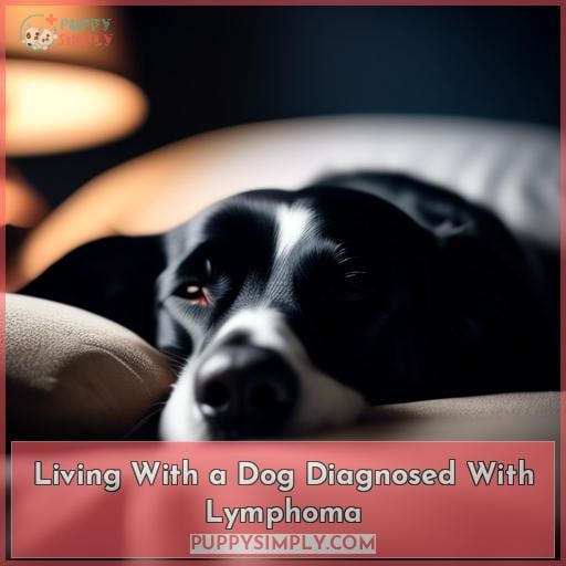 Living With a Dog Diagnosed With Lymphoma