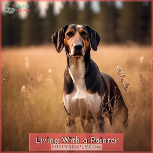 Living With a Pointer