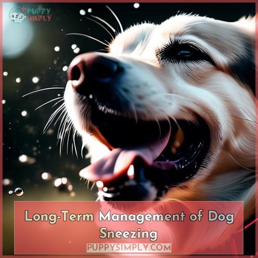 Long-Term Management of Dog Sneezing