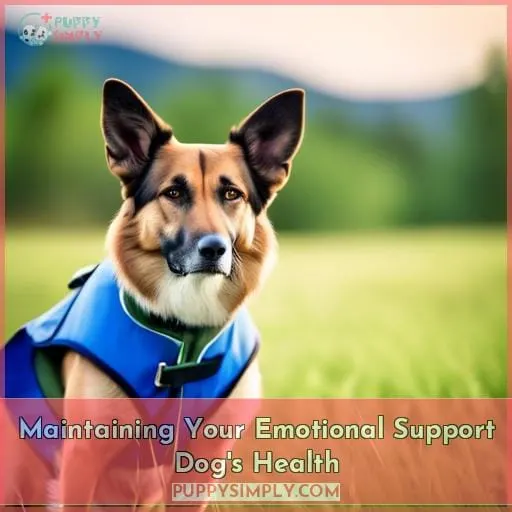 Maintaining Your Emotional Support Dog