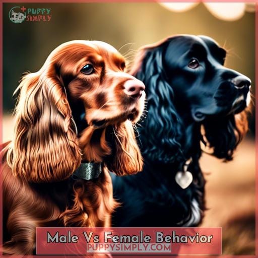 Male Vs Female Behavior Male Vs Female Behavior