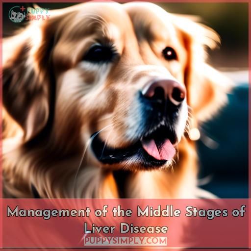 Management of the Middle Stages of Liver Disease