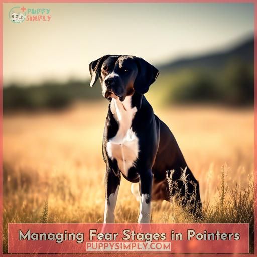 Managing Fear Stages in Pointers