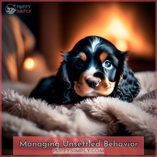 Managing Unsettled Behavior Managing Unsettled Behavior
