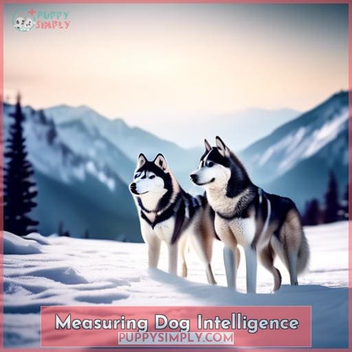 Measuring Dog Intelligence
