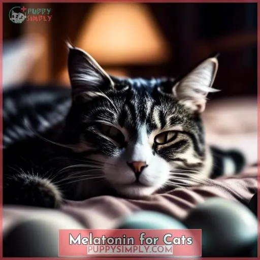 Melatonin for Cats