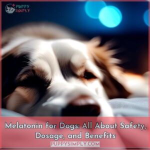 melatonin for dogs
