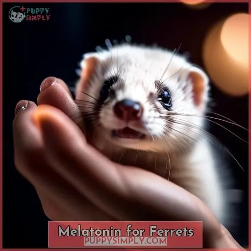 Melatonin for Ferrets