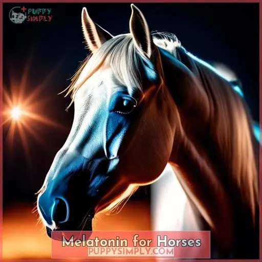 Melatonin for Horses