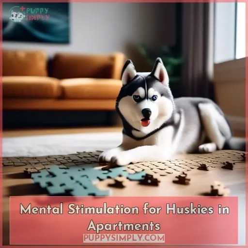 Mental Stimulation for Huskies in Apartments
