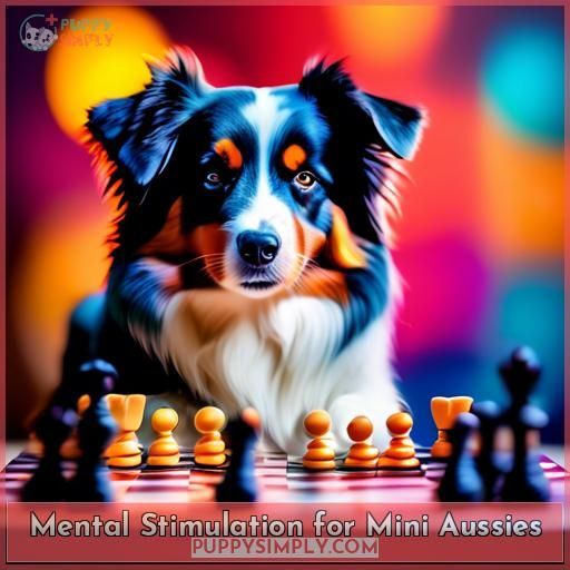 Mental Stimulation for Mini Aussies Mental Stimulation for Mini Aussies