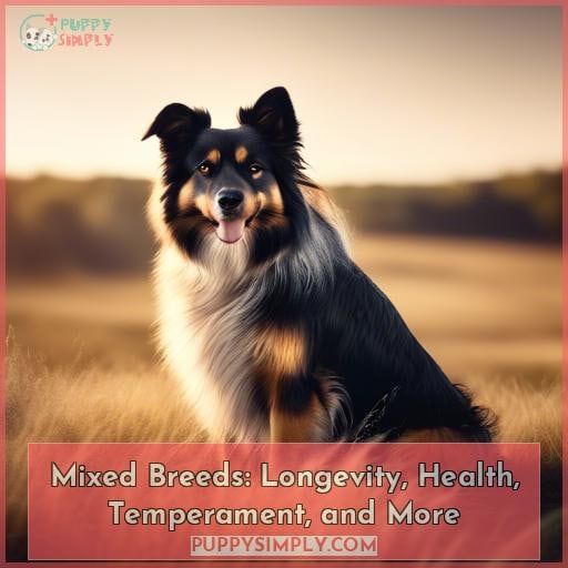 mixed breed dogs