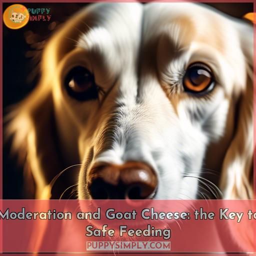 Moderation and Goat Cheese: the Key to Safe Feeding