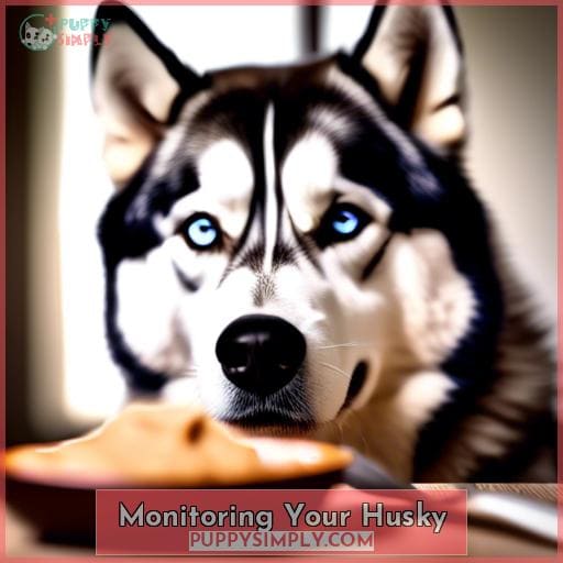 Monitoring Your Husky