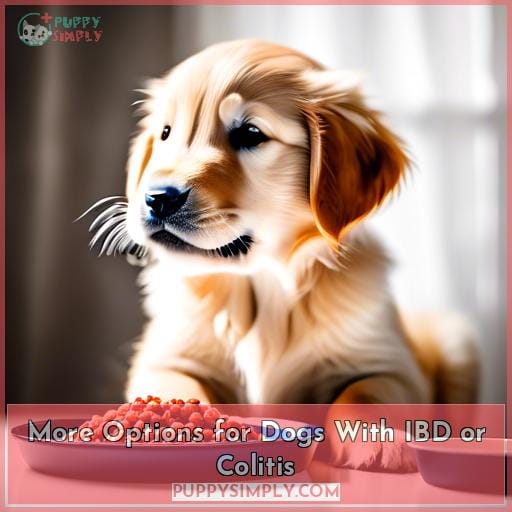 More Options for Dogs With IBD or Colitis