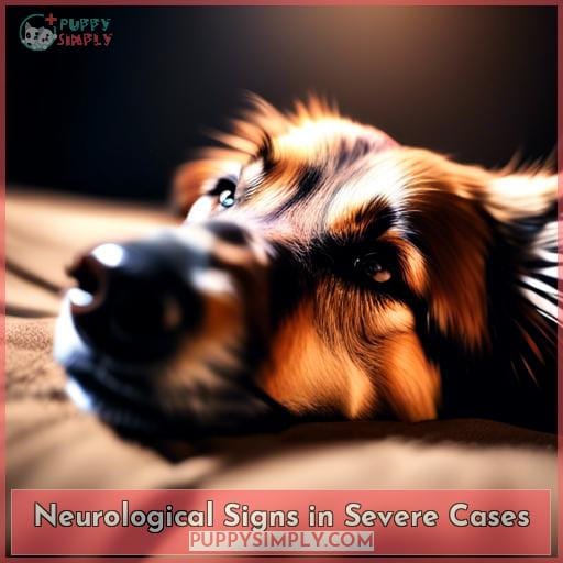 Neurological Signs in Severe Cases