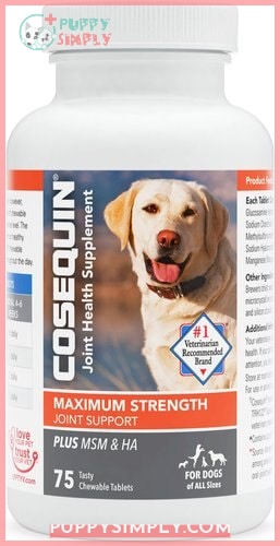 Nutramax Cosequin Maximum Strength Chewable