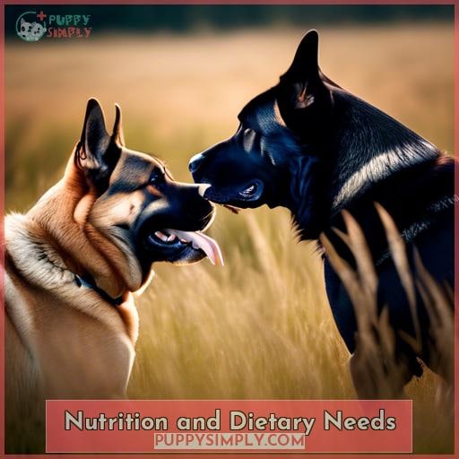 Nutrition and Dietary Needs