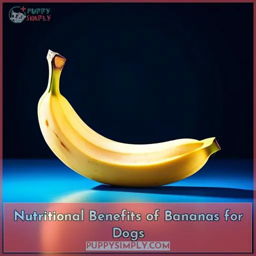 Nutritional Benefits of Bananas for Dogs