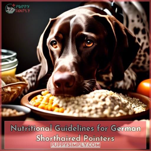 Nutritional Guidelines for German Shorthaired Pointers