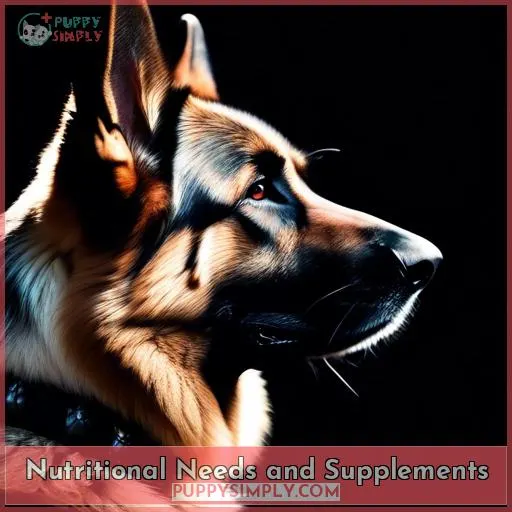 Nutritional Needs and Supplements
