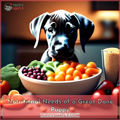 Nutritional Needs of a Great Dane Puppy