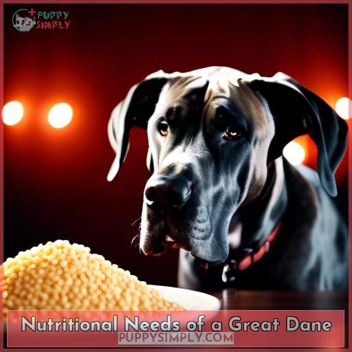 Nutritional Needs of a Great Dane