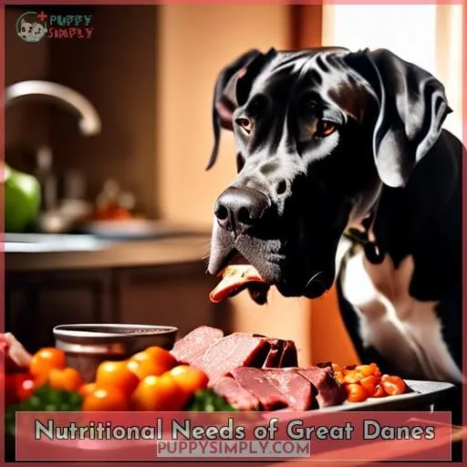 Nutritional Needs of Great Danes