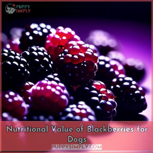 Nutritional Value of Blackberries for Dogs