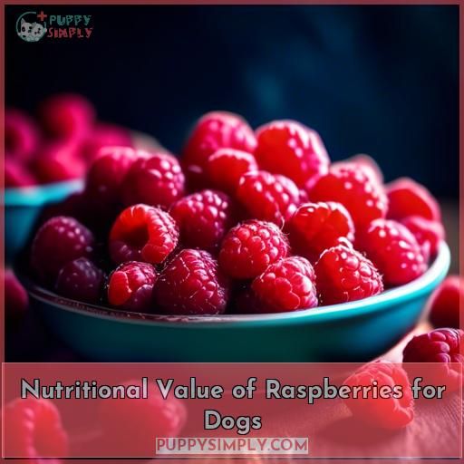 Nutritional Value of Raspberries for Dogs